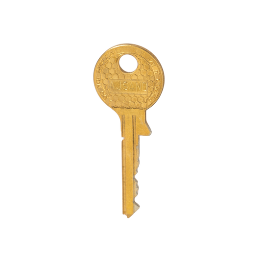 AJSAND Programmierschlüssel